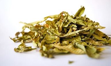 Herbes pour le traitement de la prostatite